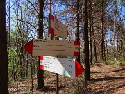 17 Prendo a dx il sent. 597